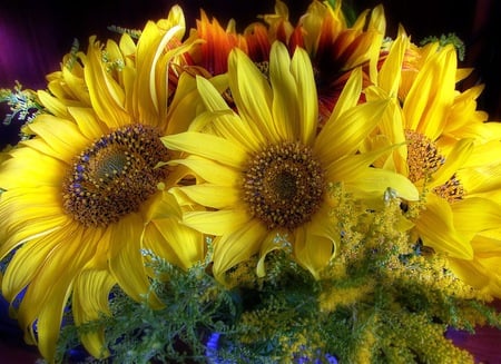 Sunflower - summer, flower, bouquet, joy, intense yellow, nature, sunflower, color, sun