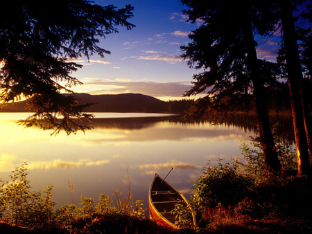 Sunset - lake, sunset, tree, boat