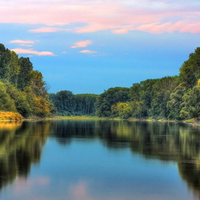 Lake in Trees