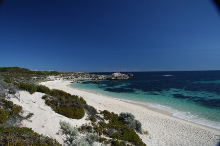 Ricey Beach - vegetation, dunes, water, sea, ocean, sand, australia, white, surf, green, clear, waves