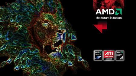 AMD Leo - amd, six, leo, x6