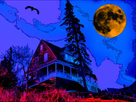 At the edge... - yellow, blue, mystical, edge, night, crow, red, surreal, mist, sky, clouds, house, moon, abstract, trees, isolated, colors, colorfull, 3d