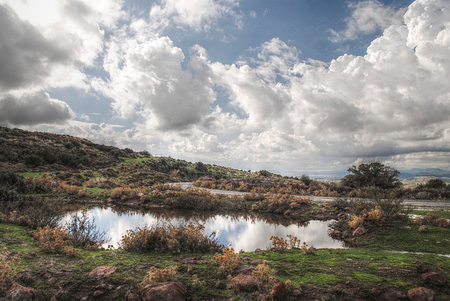 Pond - nature, sky, forests, pond