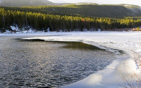 Frozen Lake - picture, lake, trees, beautiful, frozen