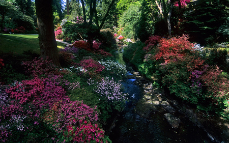 Summer Garden - summer, garden, flowers, little stream, park