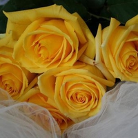 Bouquet-of-yellow-roses