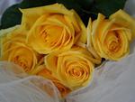 Bouquet-of-yellow-roses