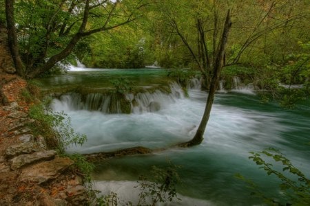 Plitvice lakes for naturefan - lakes, plitvice, clear, croatia, water, nature, np