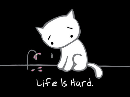 life is hard - white, fun, black, cat