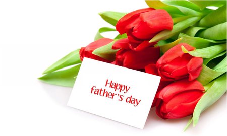 Happy father's day, gentlemen in DN!!! - flower, holiday, tulip, father