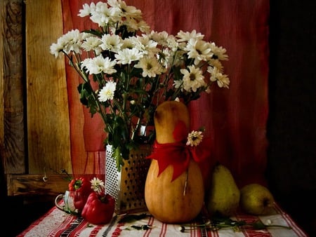 Daisy still life - nature, margarita, daisy, still life, flower