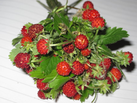 Fruits (fragute(ro)) - nature, strawberries, fragute, fruits