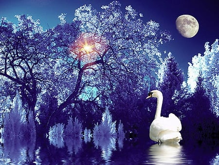 Ice blue - moon, trees, water, blue, swan, reflection, sun