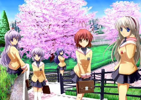 Clannad Springtime - trees, clannad, pink, time, spring