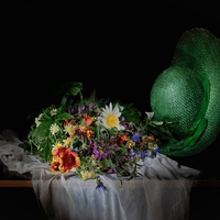 Still Life