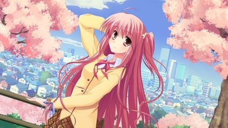 Let me think about it - pink hair, long hair, cherry trees, cute