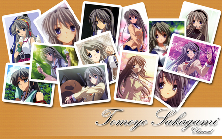 Tomoyo's photos - gray hair, tomoyo sakagami, clannad, long hair