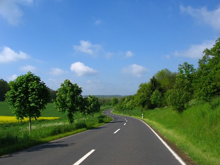 Open road - road, trees, naturistic, green