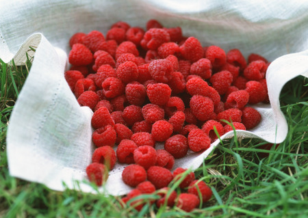 Juicy Raspberry - delicious, raspberry, red, photography, macro, fruit, tasty