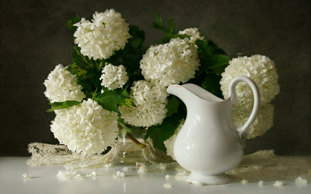 still life - pretty, elegantly, photo, flowers, nice, pot, delicate, beautiful, photography, beauty, lace, lovely, cool, still life, flower, petals, bouquet, harmony, white