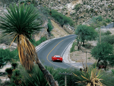 F430 - ferrari f430, exotic car, f430, ferrari