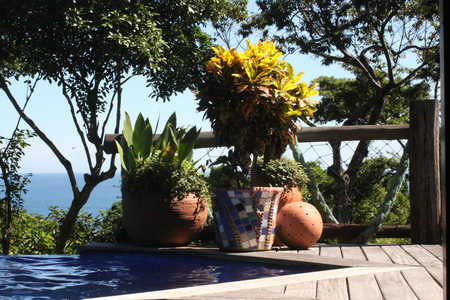 poolside - pool, view, garden, see, home