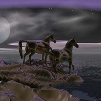 Moon Horses