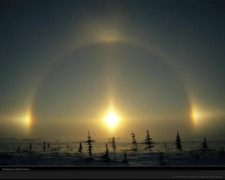 polar-phenomena-rosing-SUNDOG - nature, bright, sky, trees, sundog, sun, polar