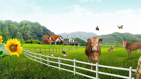 Contented Cows - house, trees, sunflowers, birds, butterflies, fence, firefox persona, cows, cattle, jersey, country, farm, milk cows