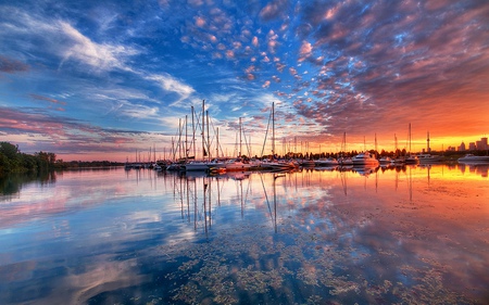 Sailboats - beauty, sky, harbour, trees, sailboats, peaceful, water, colorful, sunset, port, view, reflection, clouds, toronto, orange, marina, tree, boat, ontario, lake, boats, sailing, lovely, nature, blue, beautiful, city, canada, splendor, colors, sailboat, sunrise