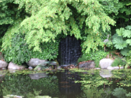 Sunday at the park - trees, water, waterfall, pond