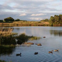 Scotland - Black Loch