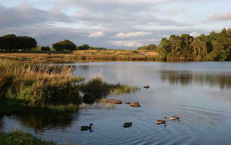 Scotland - Black Loch - lochs, loch, scotland, lakes