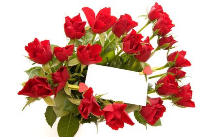 Roses bouquet with card - card, nature, flower, red