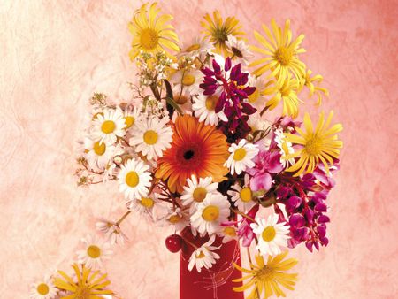 Daisy still life - flower, bouquet, still life, nature, margarita, daisy