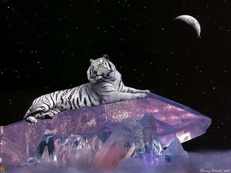 Fantasy white tiger - moon, feline, tiger, fantasy, big cat