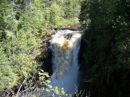 moxie falls, maine - trees, water, moxie falls, maine