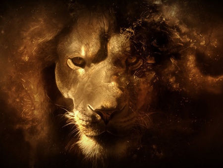 Lion Portrait - abstract, fantasy, animal, portrait, lion, 3d