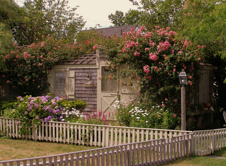 Rose Cottage - roses, roof, garden, little, pink, cottage