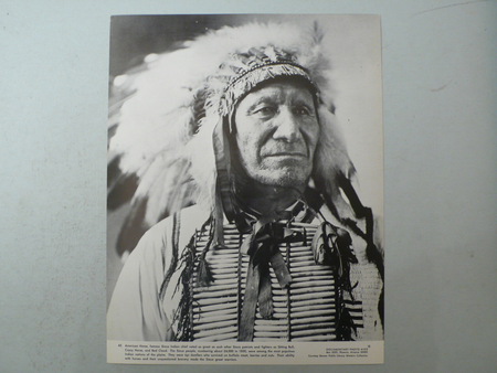 Sitting Bull - fun, entertainment, man, other