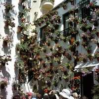 flower patio