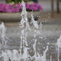 Water fountain