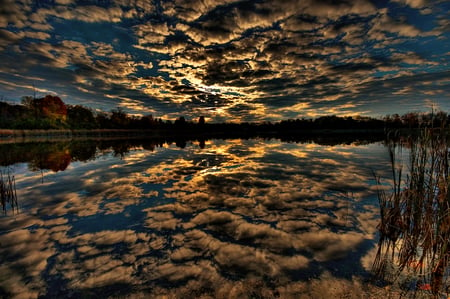 Cloudy Summer - sky, trees, sun, water, sunset, yellow, reflection, dark, cloud, river, orange, green, sun shine, lake, day, summer, plants, cloudy, blue, red, gray