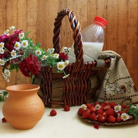 Still Life