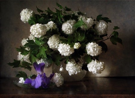 still life - pretty, vase, elegantly, beautiful, photography, beauty, lovely, photo, cool, flower, still life, bouquet, harmony, flowers, iris, nice