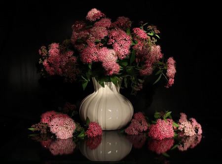 still life - nice, beauty, photography, bouquet, still life, black, cool, pretty, harmony, gentle, lovely, vase, beautiful, pink, flowers, photo, flower, elegantly