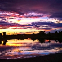 Purple Sunset