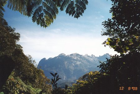 Kinabalu - jungle, malaysia, mountain, borneo