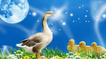 Mothers Love - duck, summer, babies, spring, stars, firefox persona, ducklings, flowers, smoke, full moon, sky