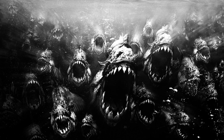 Wallpaper - horror, water, scary, fish, tooth, dark, piranha